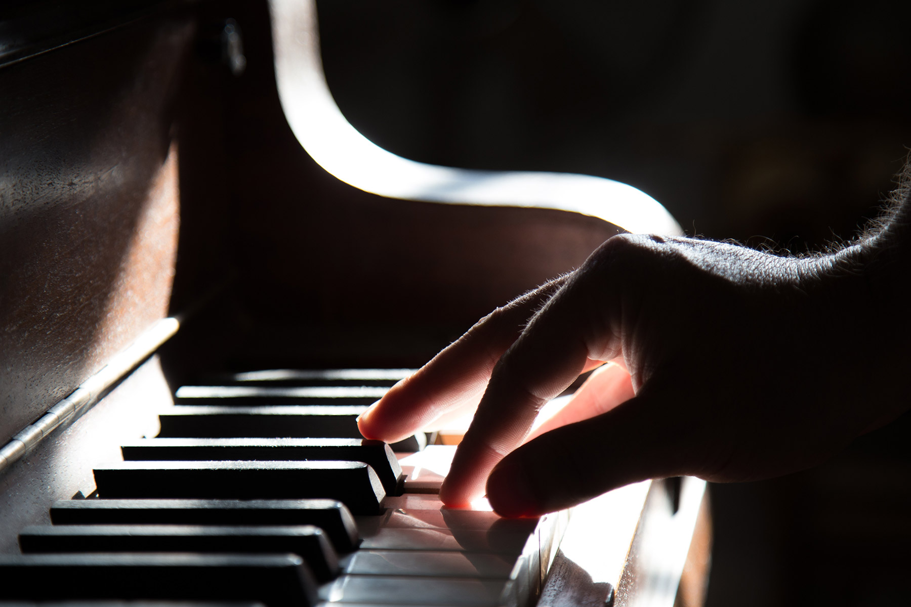 cat-pianos